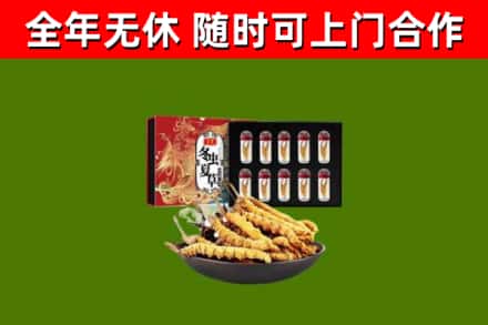 临泉烟酒回收冬虫夏草礼盒.jpg