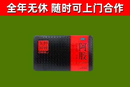 临泉回收阿胶